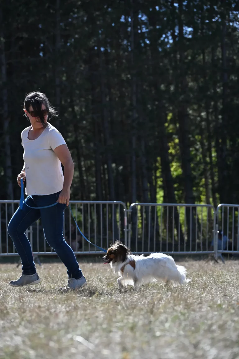 Cani-Show - Édition 2026 - Canifun
