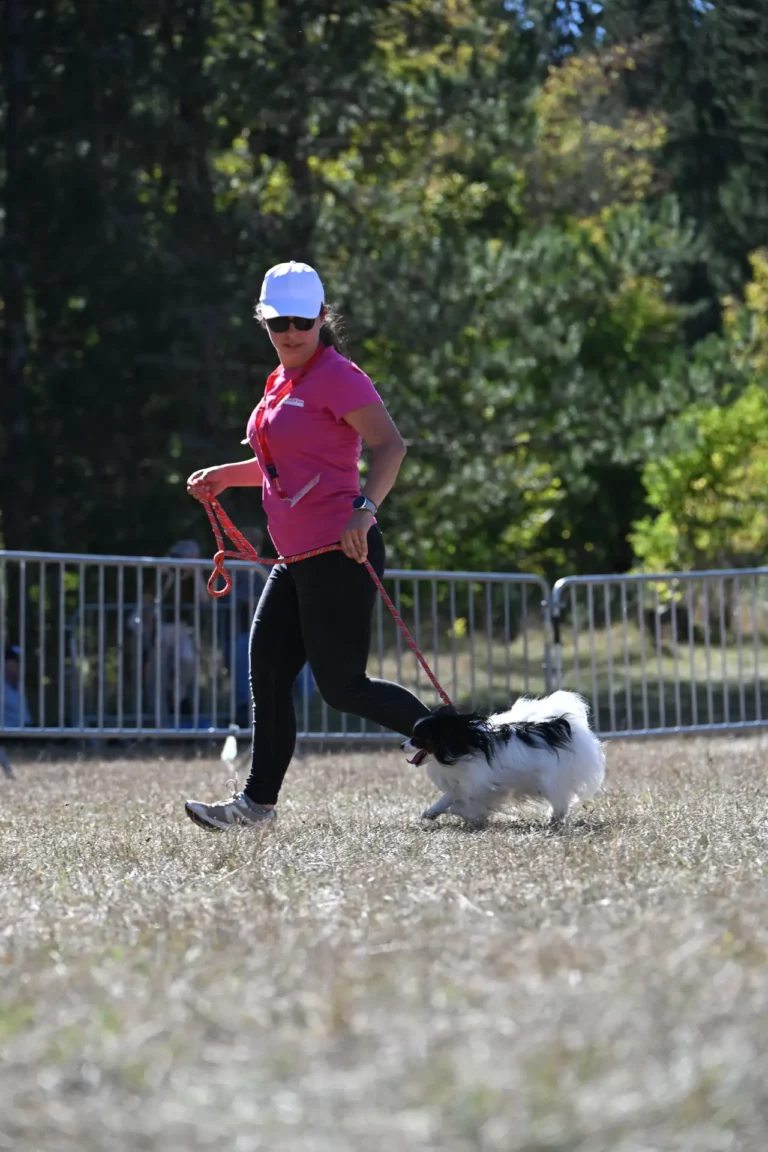 Cani-Show - Édition 2026 - Canifun