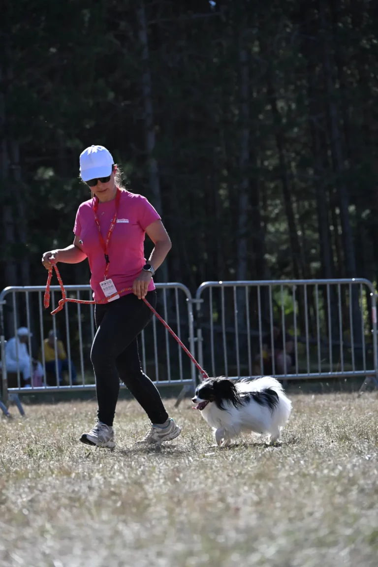 Cani-Show - Édition 2026 - Canifun