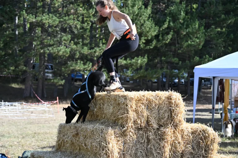 Cani-Parcours - Édition 2026 - Canifun