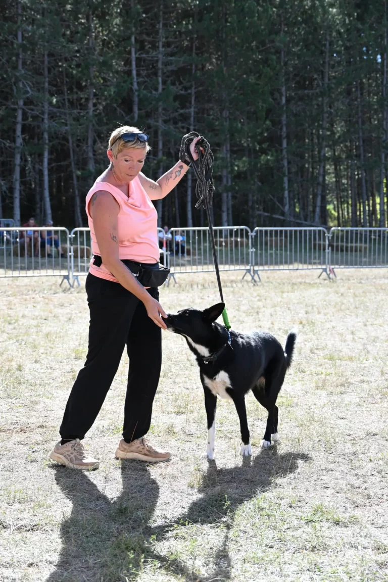 Cani-Show - Édition 2026 - Canifun