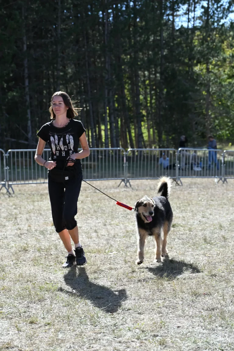 Cani-Show - Édition 2026 - Canifun