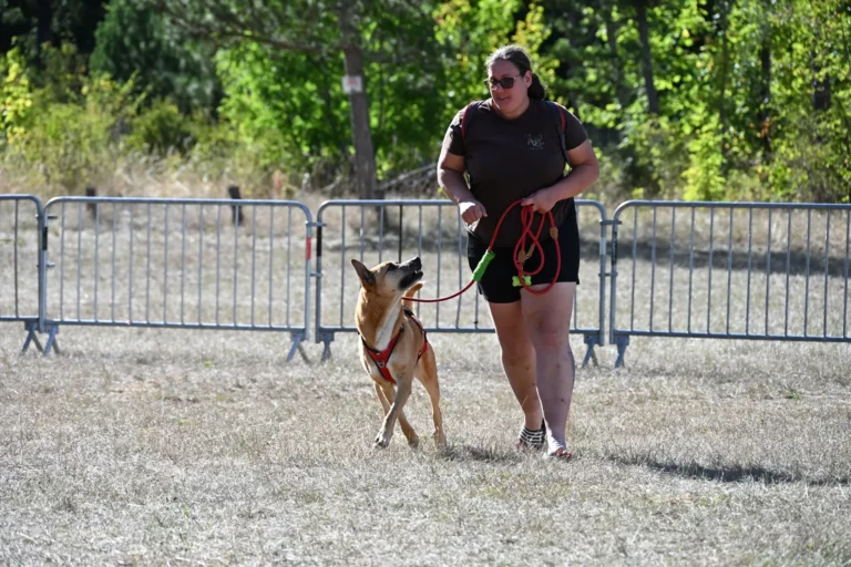 Cani-Show - Édition 2026 - Canifun