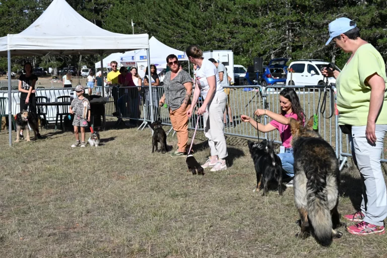 Cani-Show - Édition 2026 - Canifun