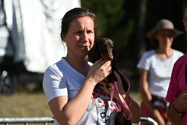 Cani-Show - Édition 2026 - Canifun