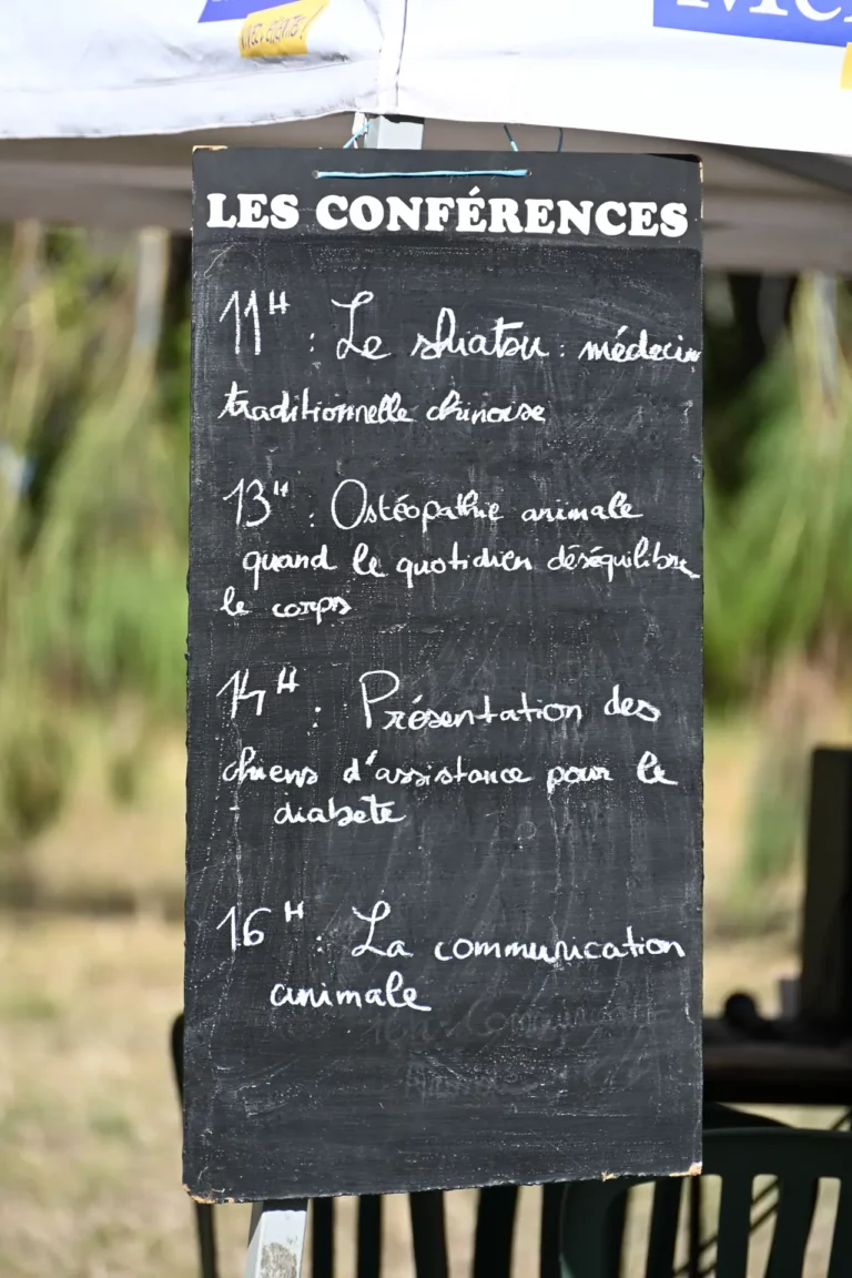 Conférences - Édition 2026 - Canifun