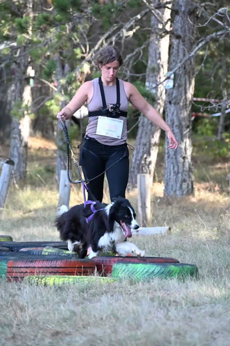 Cani-Parcours - Édition 2026 - Canifun