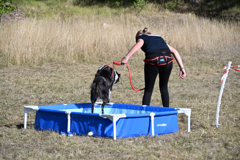 Cani-Parcours - Édition 2026 - Canifun