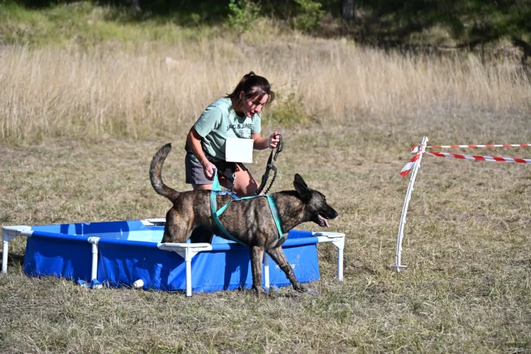 Cani-Parcours - Édition 2026 - Canifun