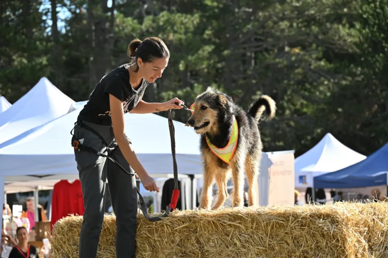 Cani-Parcours - Édition 2026 - Canifun