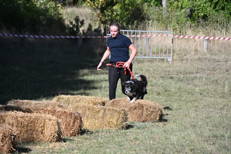 Cani-Parcours - Édition 2026 - Canifun