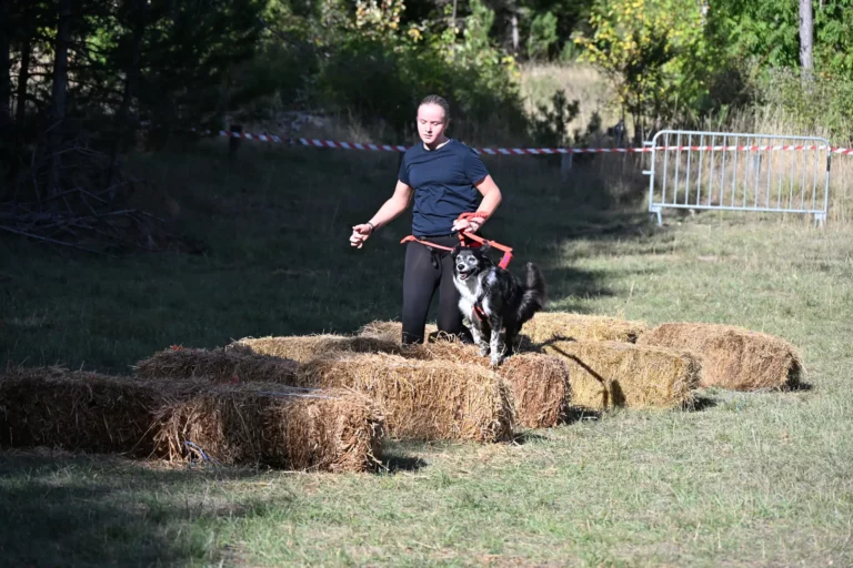 Cani-Parcours - Édition 2026 - Canifun