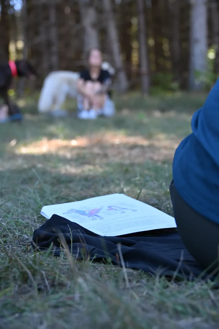Initiations - Édition 2026 - Canifun