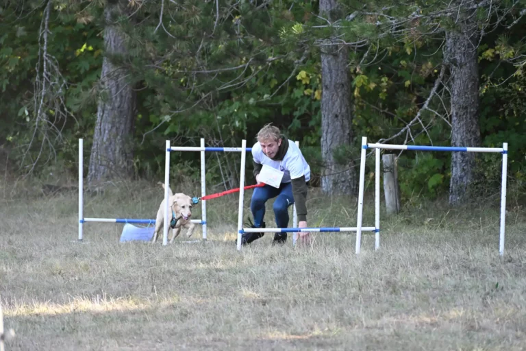 Cani-Parcours - Édition 2026 - Canifun