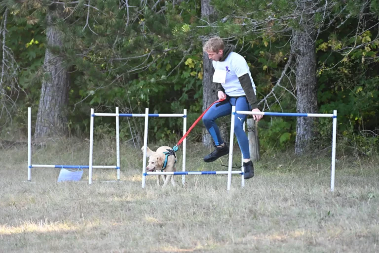Cani-Parcours - Édition 2026 - Canifun