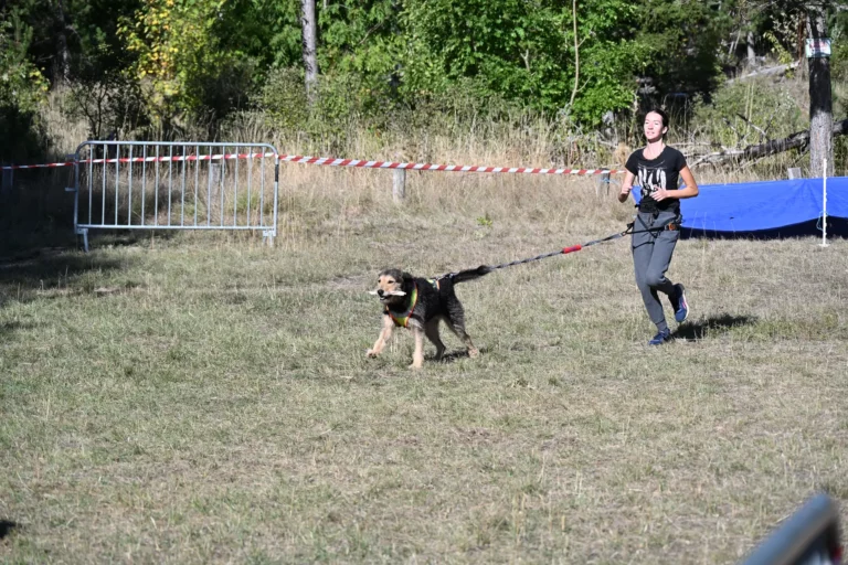 Cani-Parcours - Édition 2026 - Canifun