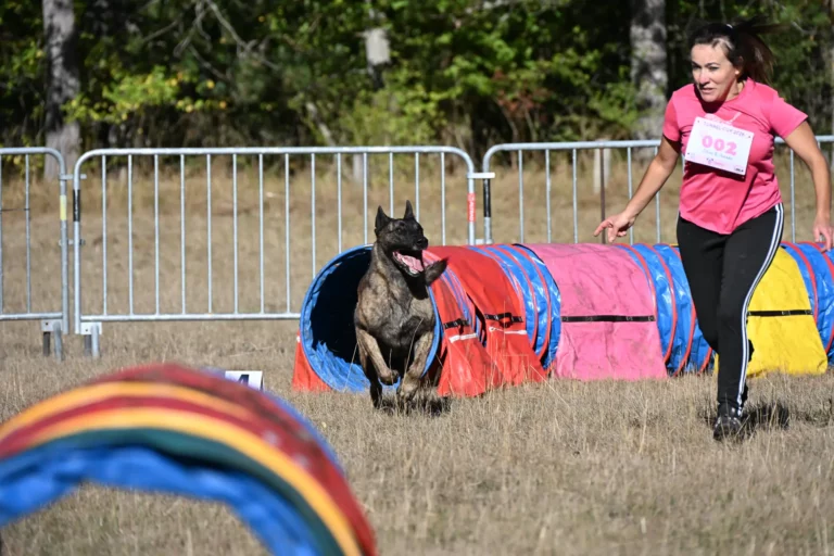 Tunnel-Cup - Édition 2026 - Canifun
