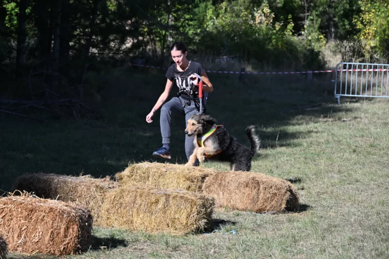 Cani-Parcours - Édition 2026 - Canifun