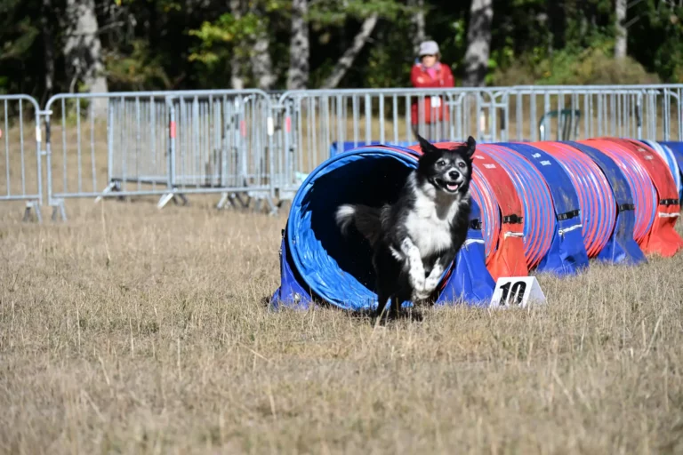 Tunnel-Cup - Édition 2026 - Canifun