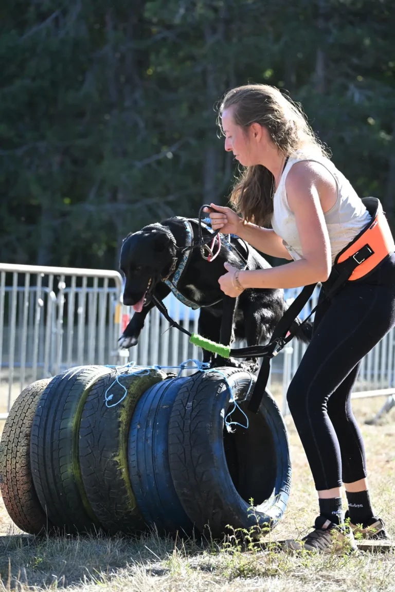 Cani-Parcours - Édition 2026 - Canifun