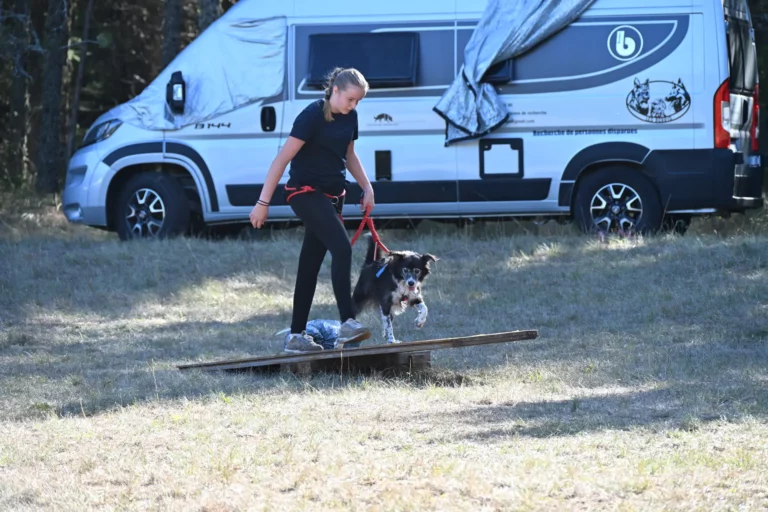 Cani-Parcours - Édition 2026 - Canifun