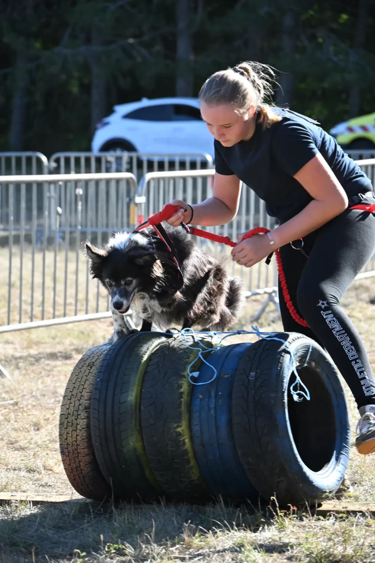 Cani-Parcours - Édition 2026 - Canifun
