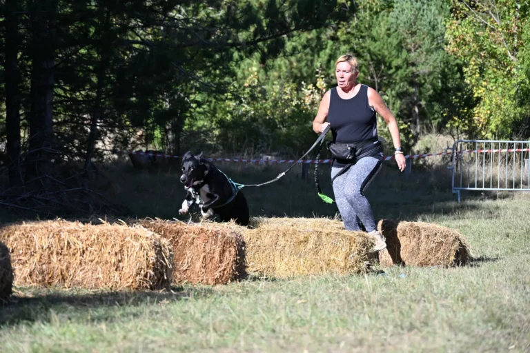 Cani-Parcours - Édition 2026 - Canifun