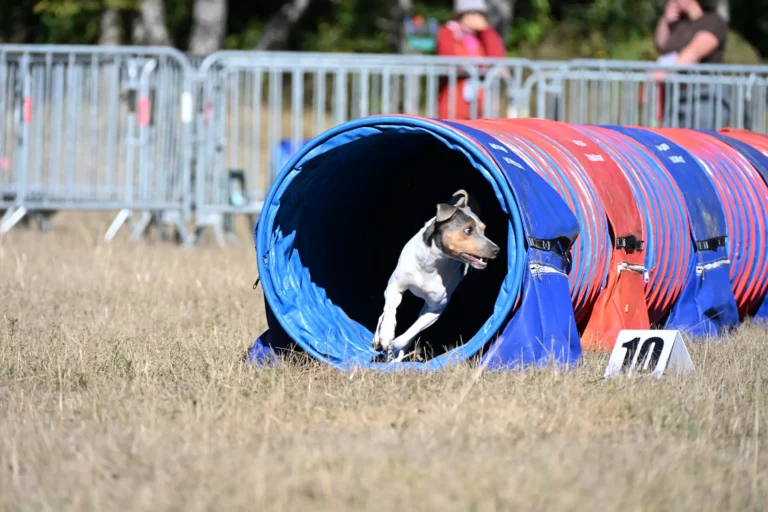 Tunnel-Cup - Édition 2026 - Canifun