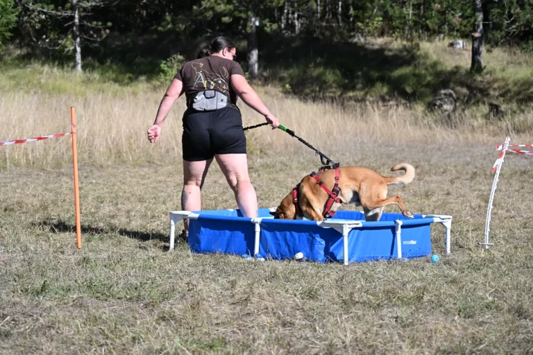 Cani-Parcours - Édition 2026 - Canifun