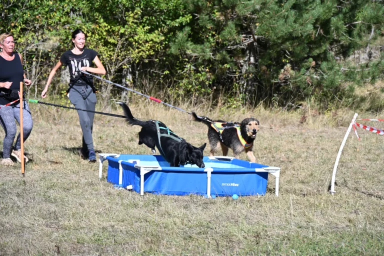 Cani-Parcours - Édition 2026 - Canifun