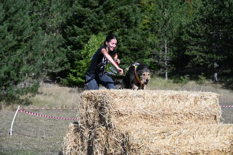 Cani-Parcours - Édition 2026 - Canifun