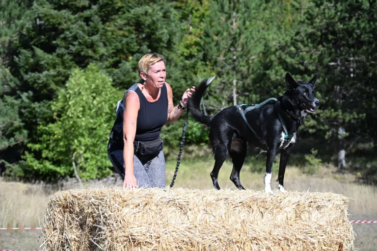 Cani-Parcours - Édition 2026 - Canifun