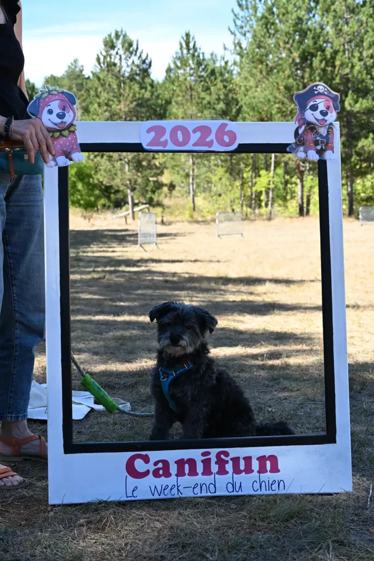 Village - Édition 2026 - Canifun