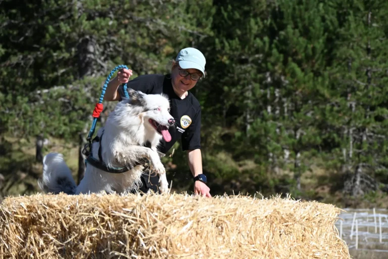 Cani-Parcours - Édition 2026 - Canifun