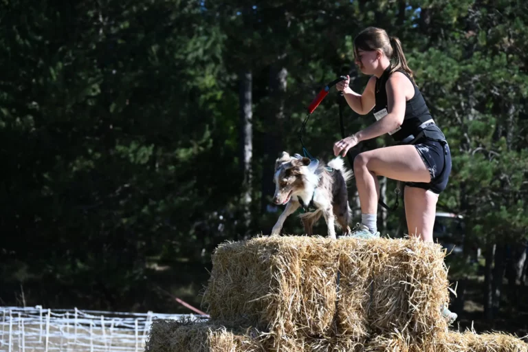 Cani-Parcours - Édition 2026 - Canifun