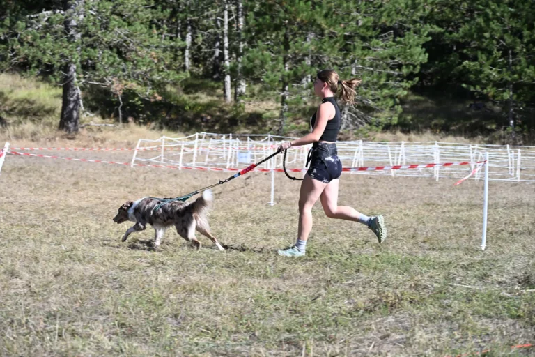 Cani-Parcours - Édition 2026 - Canifun