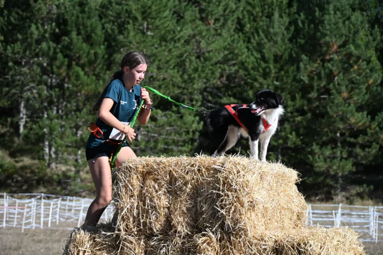 Cani-Parcours - Édition 2026 - Canifun