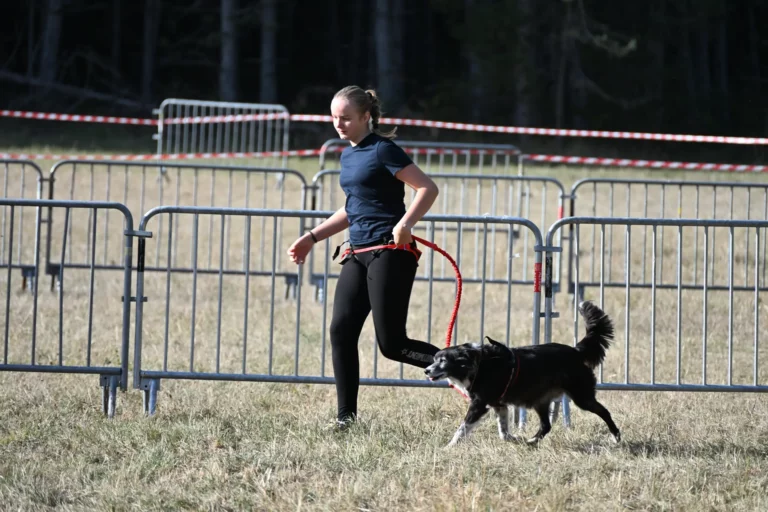 Cani-Parcours - Édition 2026 - Canifun