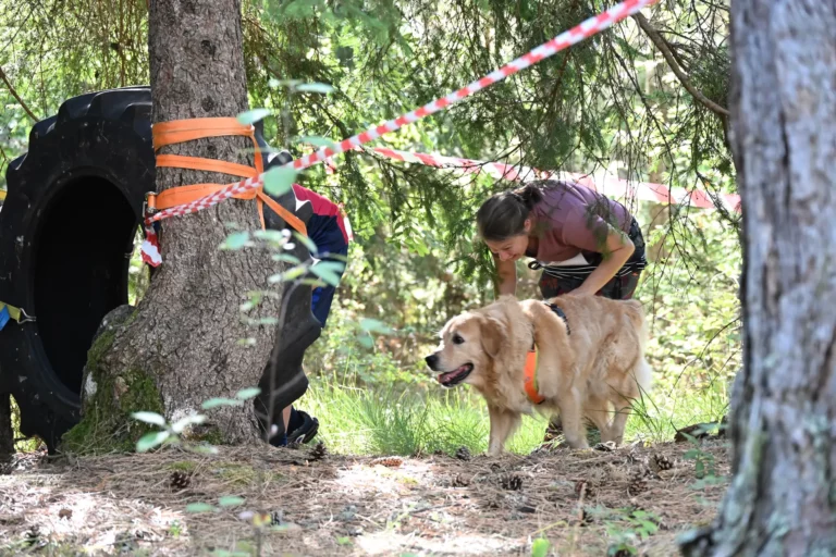 Cani-Parcours - Édition 2026 - Canifun