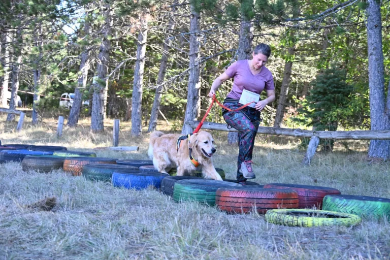Cani-Parcours - Édition 2026 - Canifun